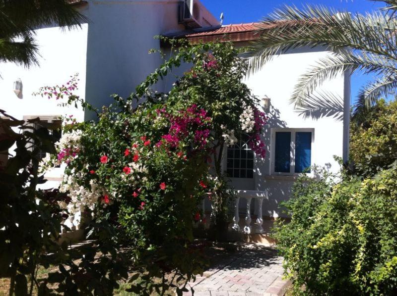 The Prince Inn Hotel & Villas Agios Georgios  외부 사진